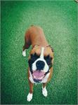 daycare pic 37 - maddie D